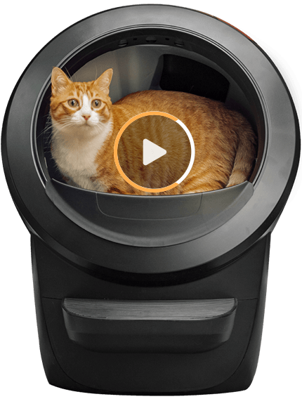 Litter robot deutschland best sale