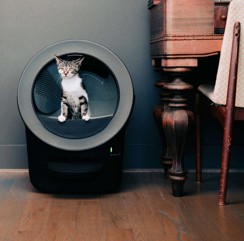 A cat sitting in a Litter-Robot 4 with another cat walking by.