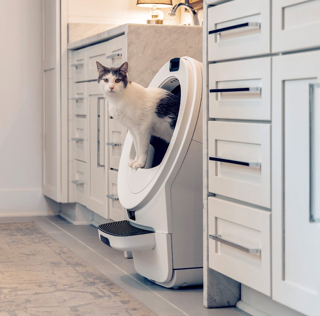 A black cat standing inside a Litter-Robot 4.