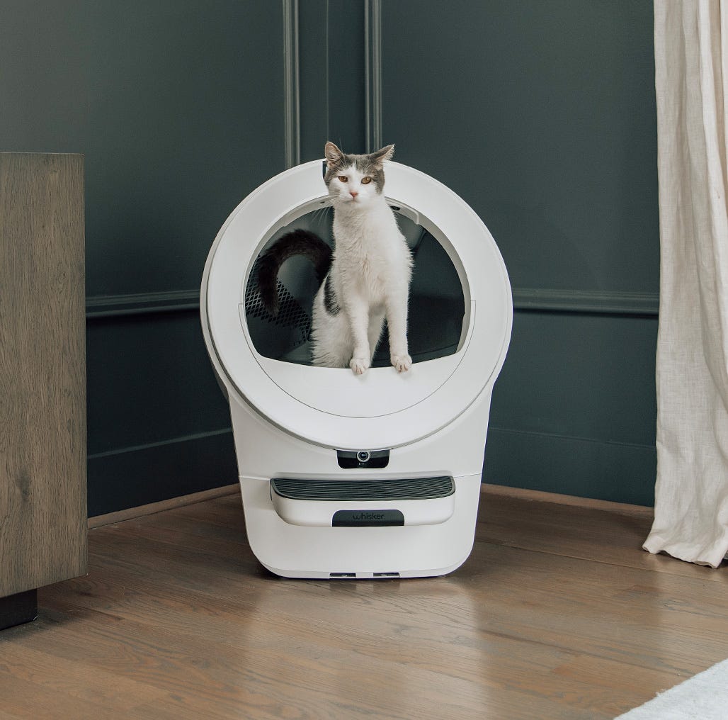 A striped cat standing in a Litter-Robot 4