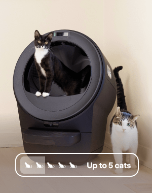Cat exiting a Litter-Robot 5.