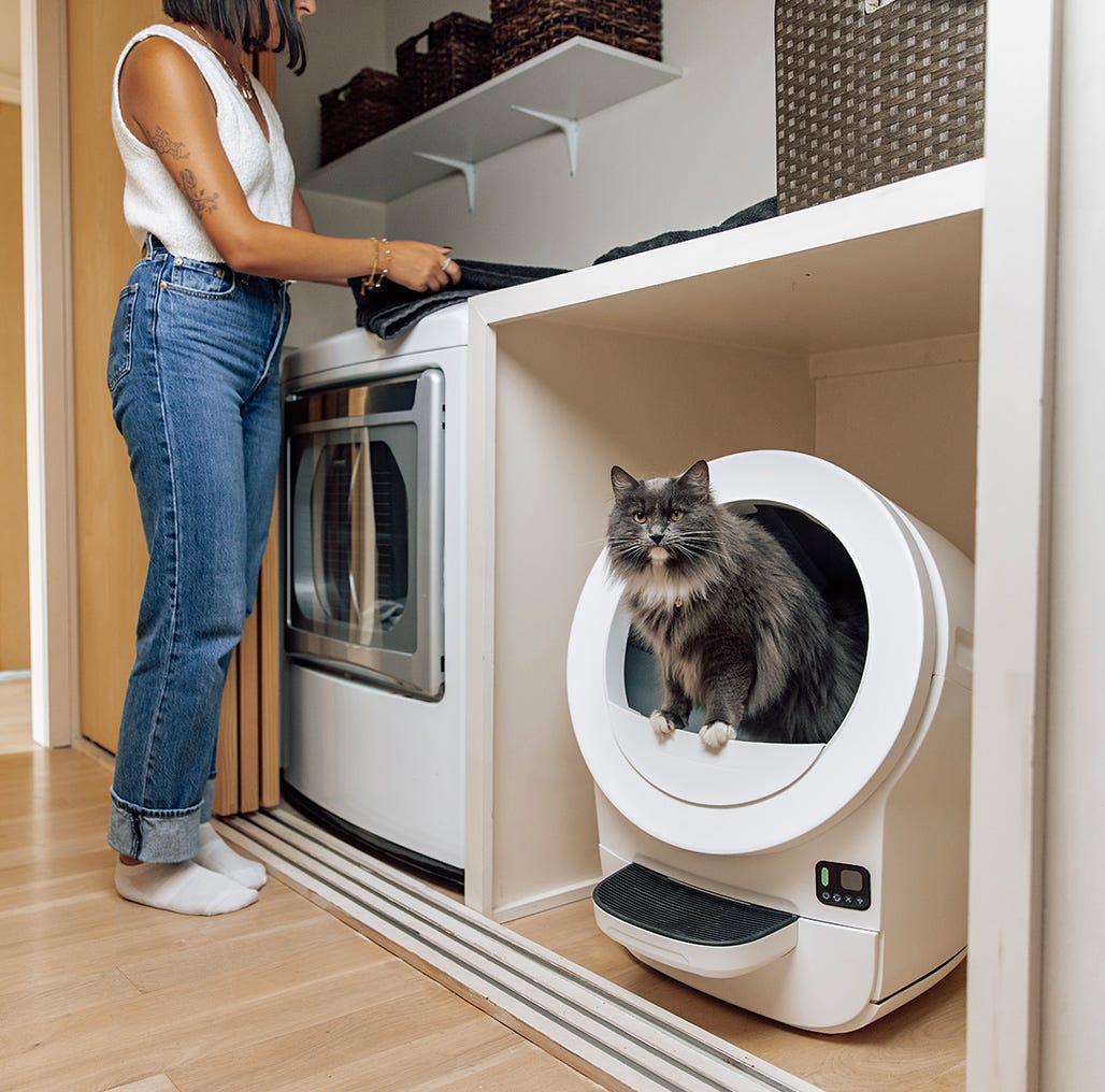 A striped cat jumping out of a Litter-Robot 4.