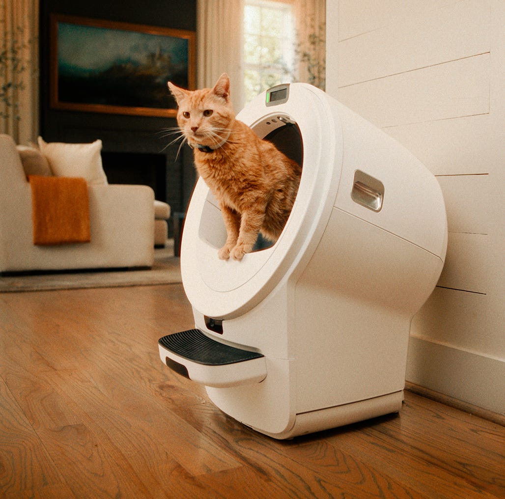 A cat sits in Litter-Robot 4 as another cat looks inside.