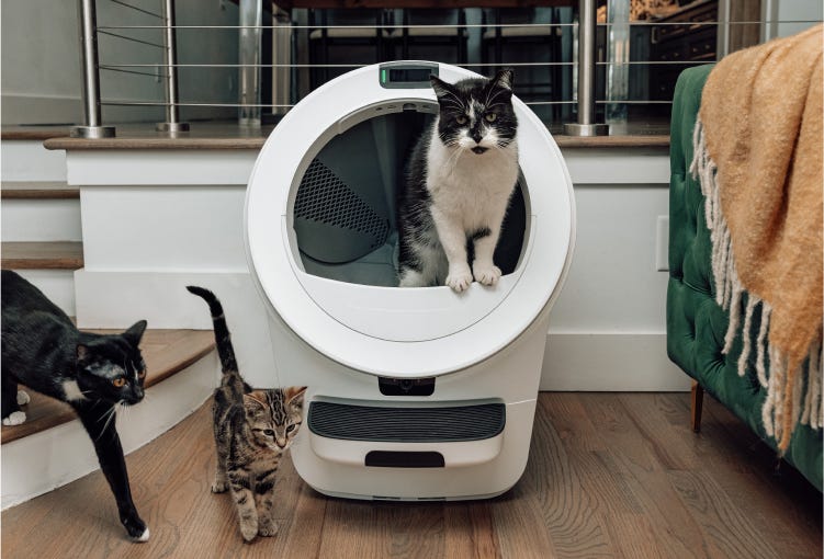 A cat standing in a Litter-Robot 4 and a cat next to it.