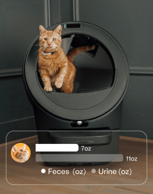 A cat sitting in a Litter-Robot 5.