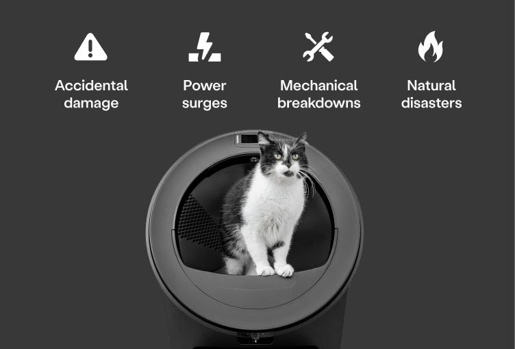 A black cat standing in a Litter-Robot 4.