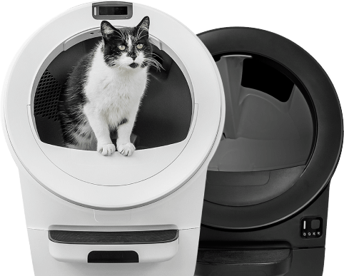 Two Litter-Robots with a cat inside