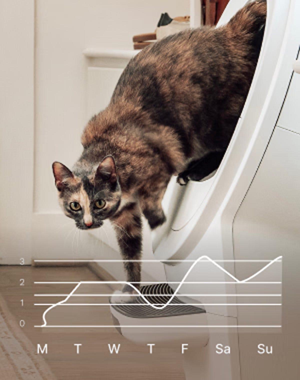 Tortoiseshell cat exiting a white Litter-Robot, with a weekly usage chart overlaid showing litter box visits from Monday through Sunday