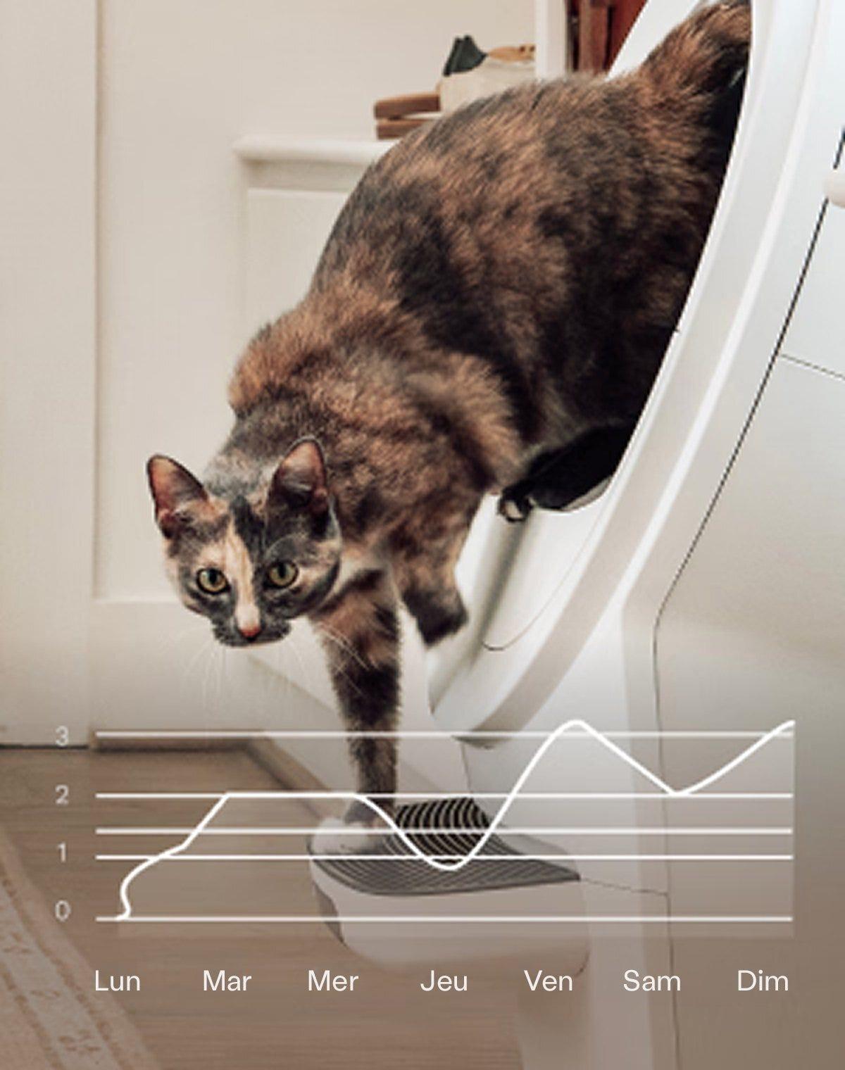 Tortoiseshell cat exiting a white Litter-Robot, with a weekly usage chart overlaid showing litter box visits from Monday through Sunday
