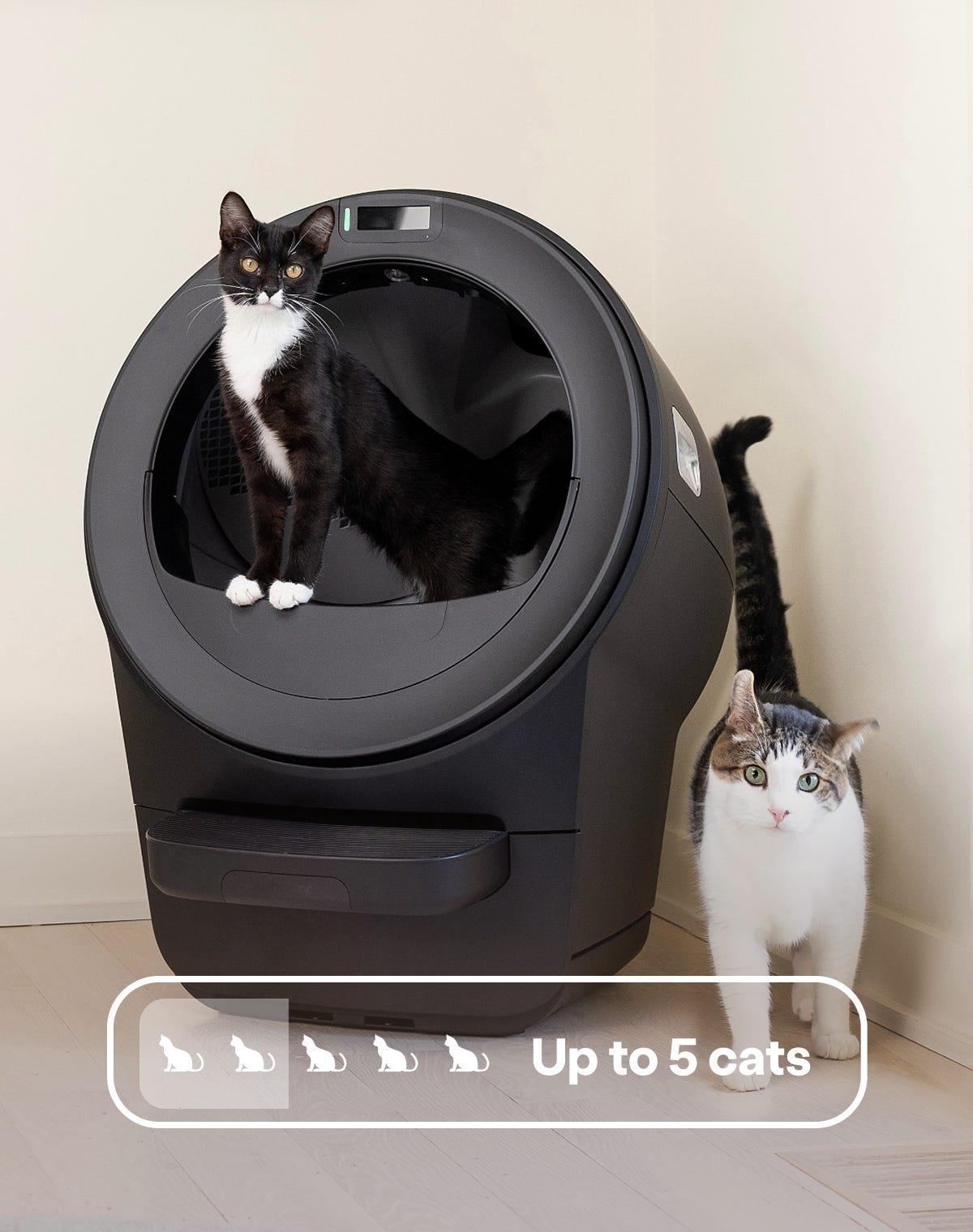 Two cats posed in front of a black Litter-Robot 5 with a badge reading 'Up to 5 cats'