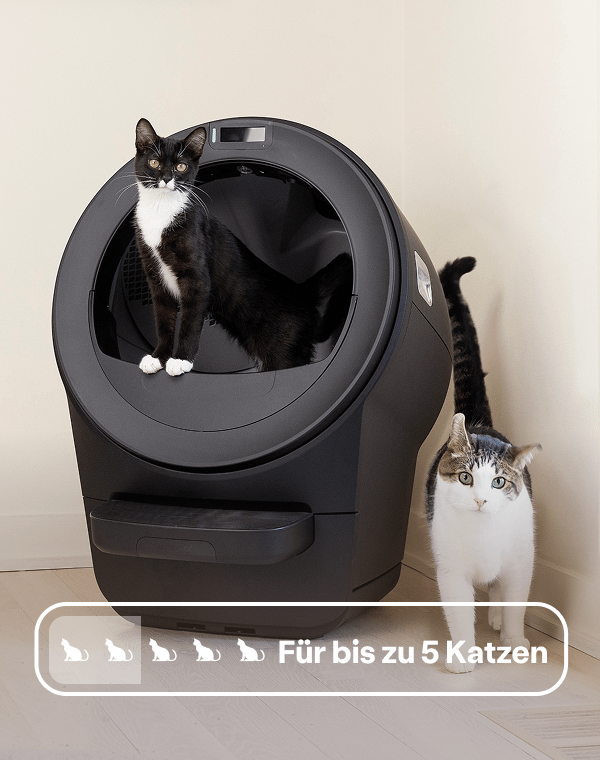 Two cats posed in front of a black Litter-Robot 5 with a badge reading 'Up to 5 cats'
