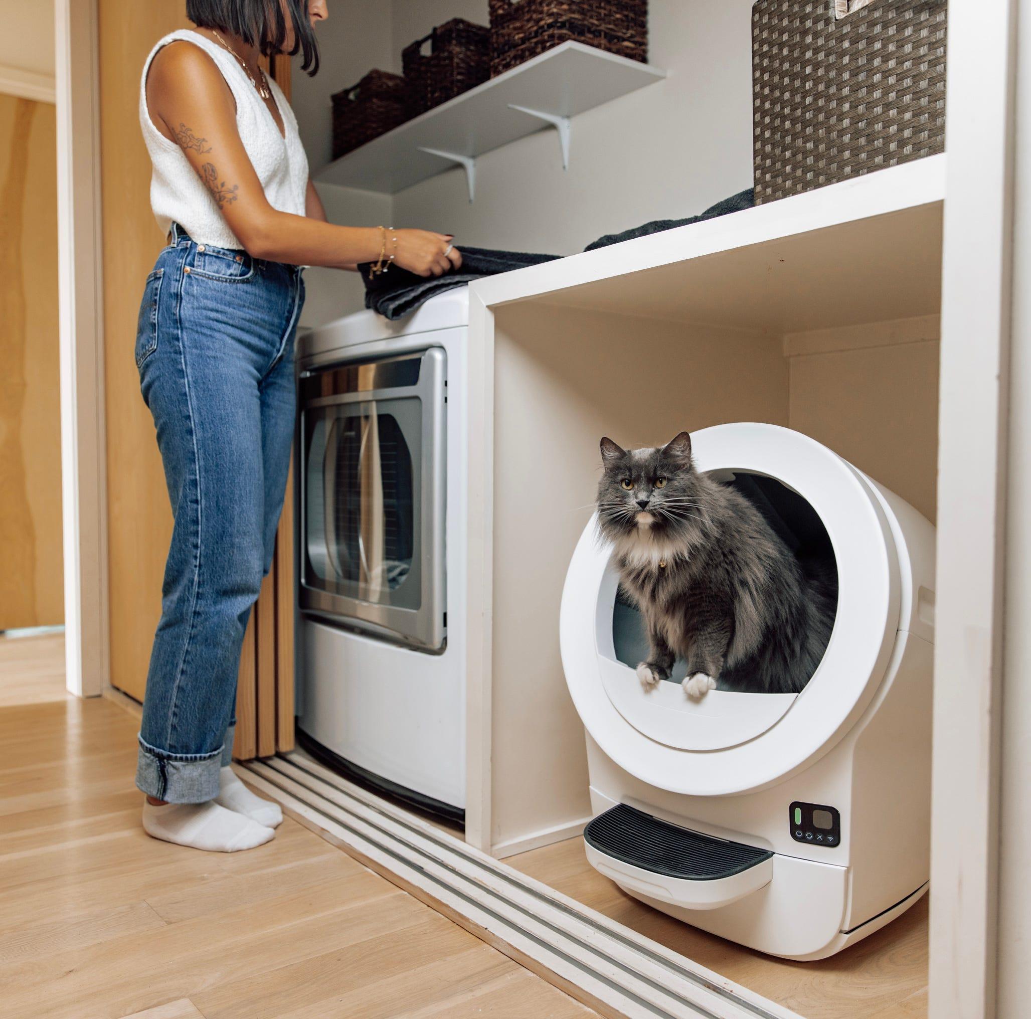 A cat sitting inside a white Litter-Robot Evo in a laundry room.