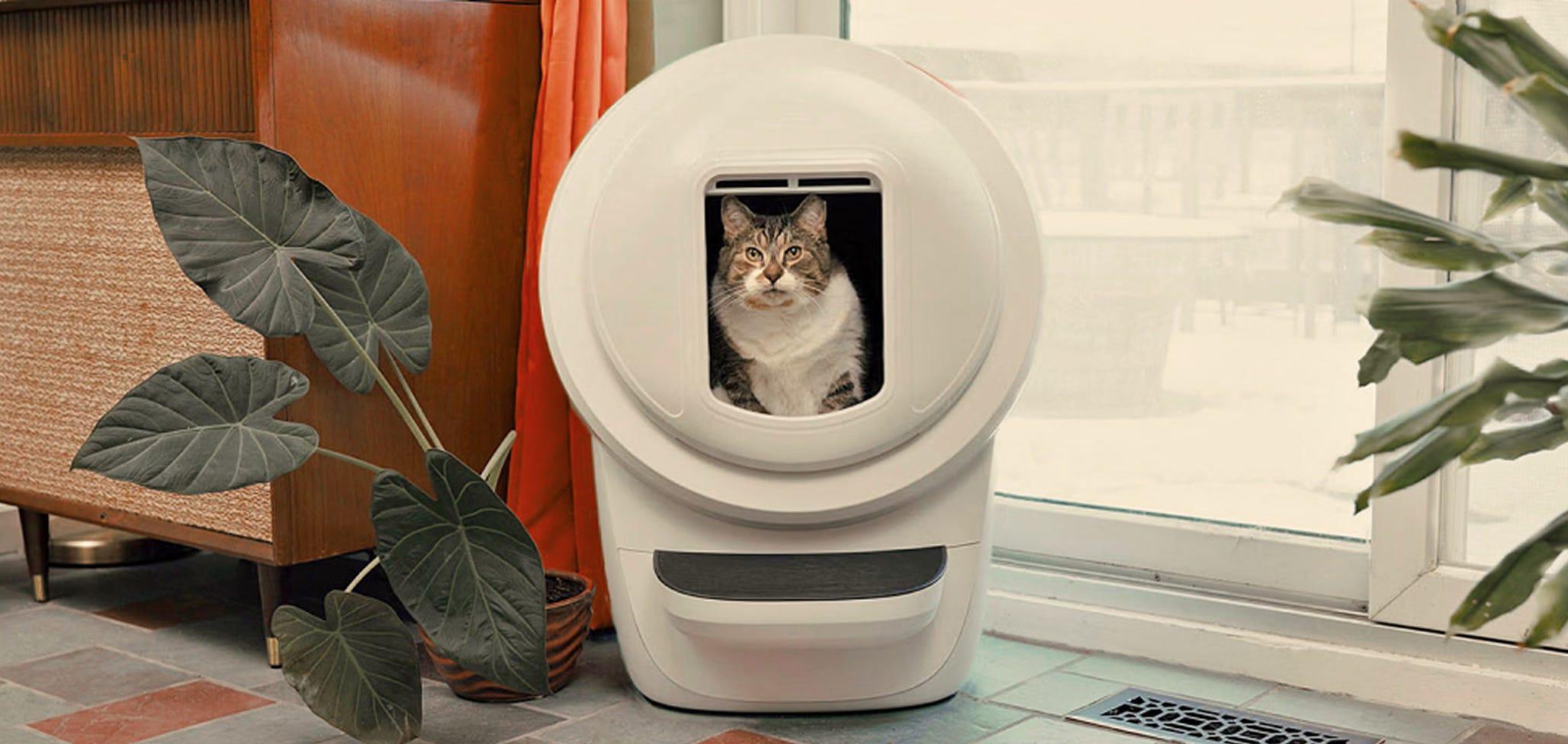 A cat sitting inside a white Litter-Robot with a shield.