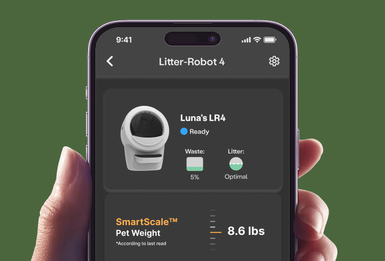 Man looking at phone standing next to cat inside litter-robot