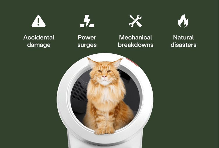 Women kneeling next to cat inside Litter-Robot