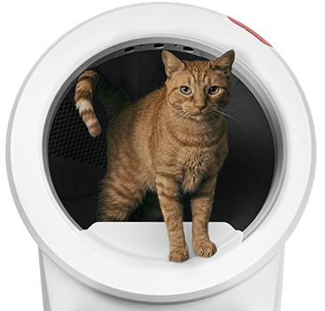 Cat in Litter-Robot