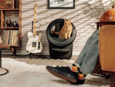 Orange cat inside Litter-Robot 4 black