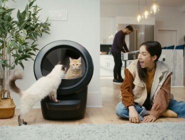 Orange cat inside Litter-Robot 4 and Siamese cat looking inside the automatic litter box