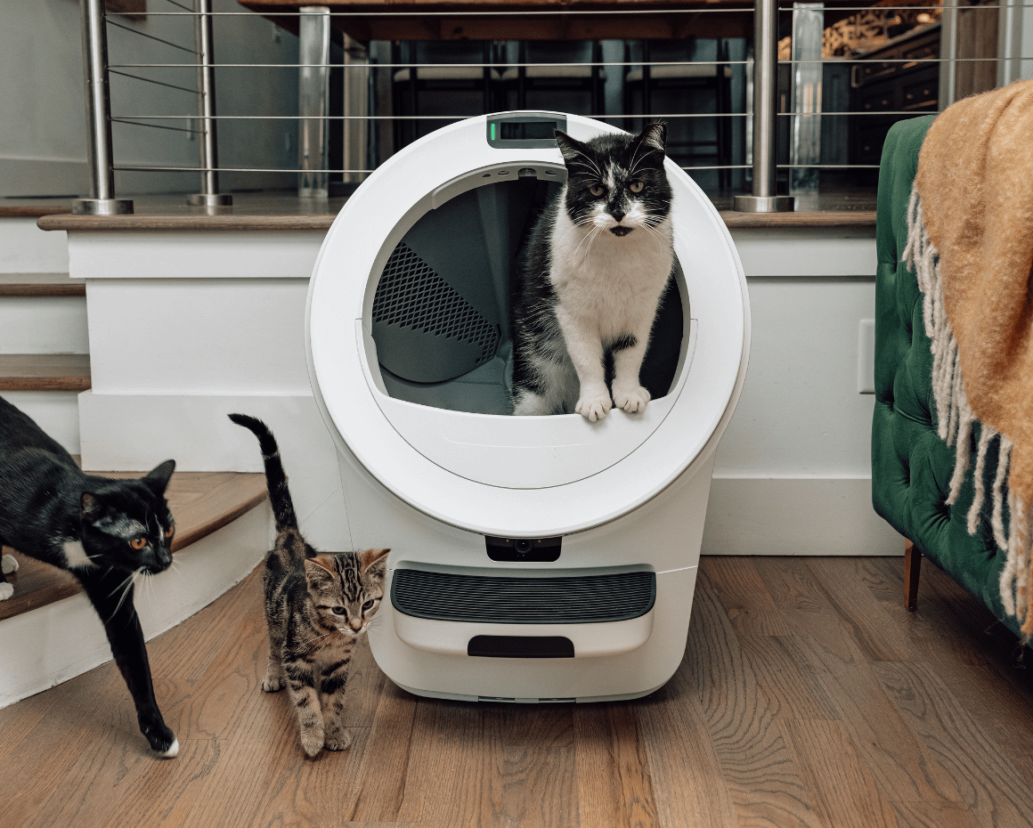 Cats in Litter-Robot 5