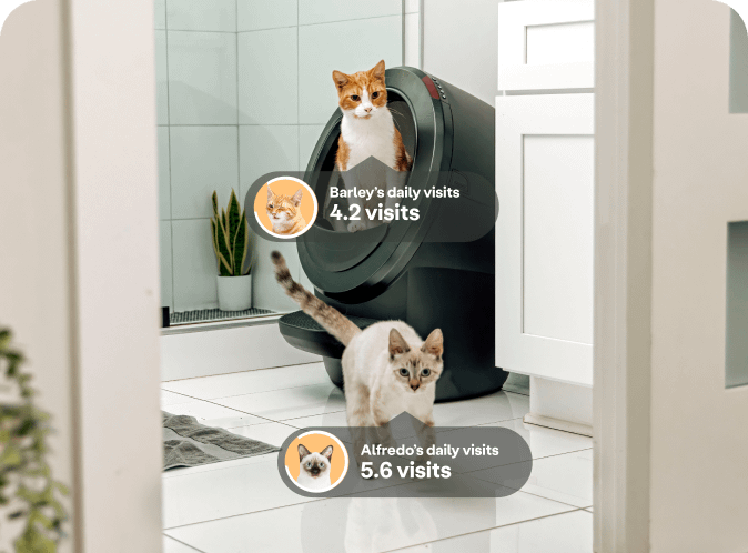 2 cats near Litter-Robot 4 with signs next to each: Barley's daily visits - 4.2 visits; Alfredo's daily visits - 5.6 visits.