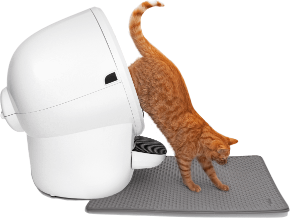 Orange can coming out of a Litter-Robot 4