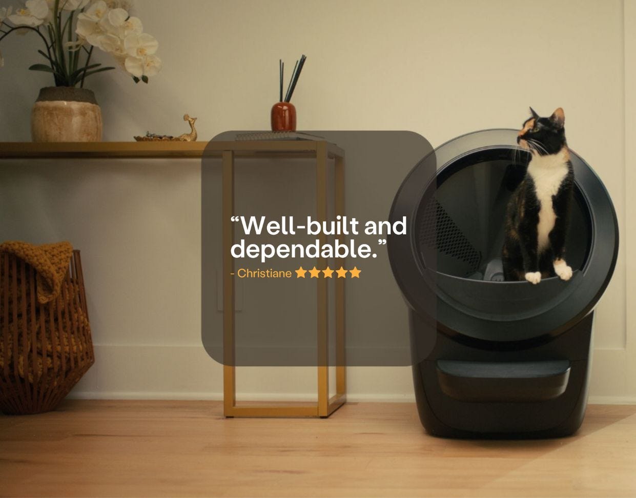 cat using Litter-Robot 4 and customer quote about reliability