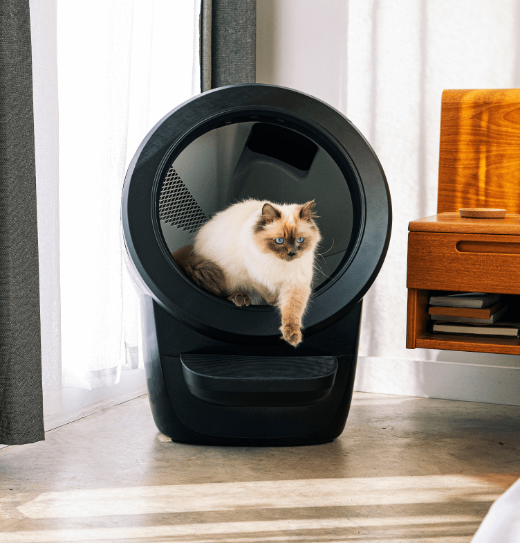 Cat climbing out of the Litter-Robot 4
