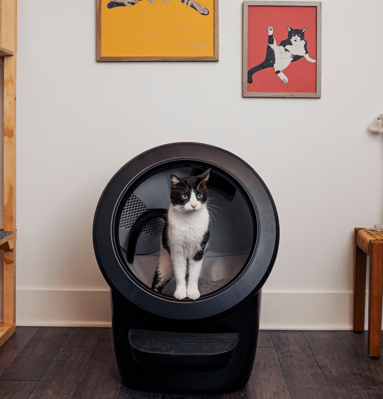 Black and white can standing inside Litter-Robot 4
