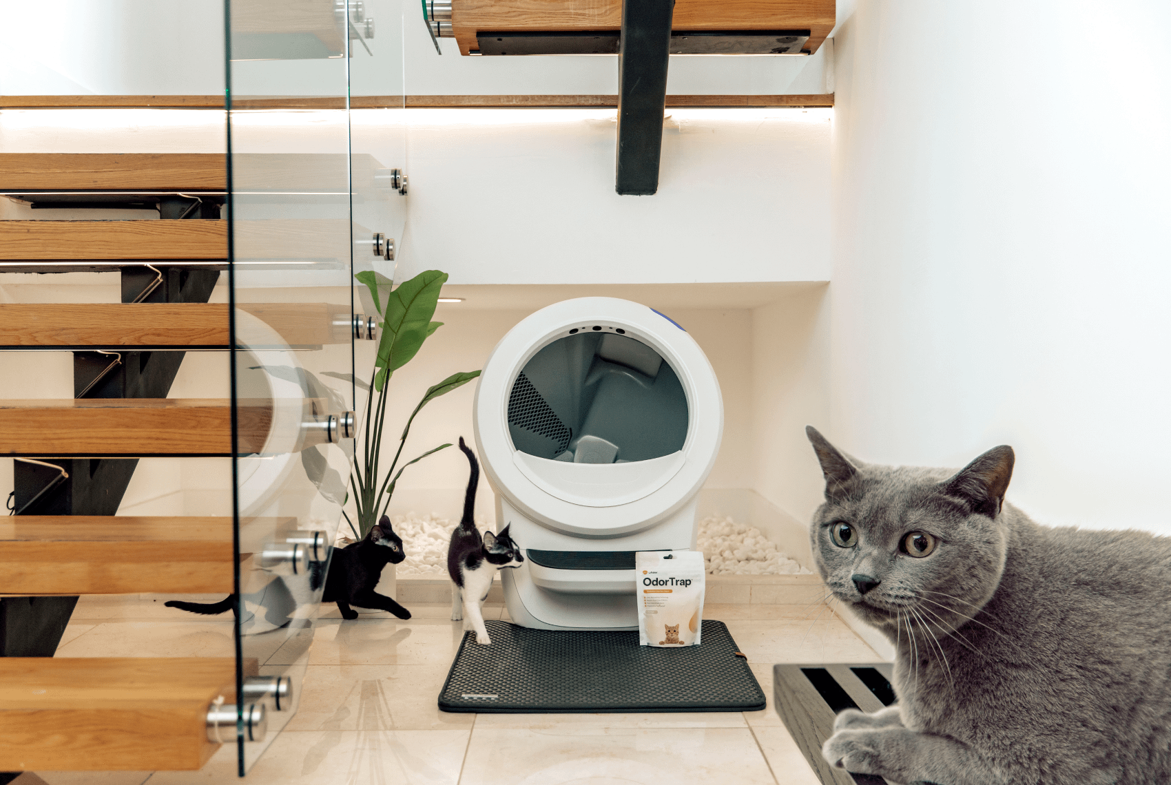White Litter-Robot 4 with OdorTrap pack in front of it, surrounded by 3 cats