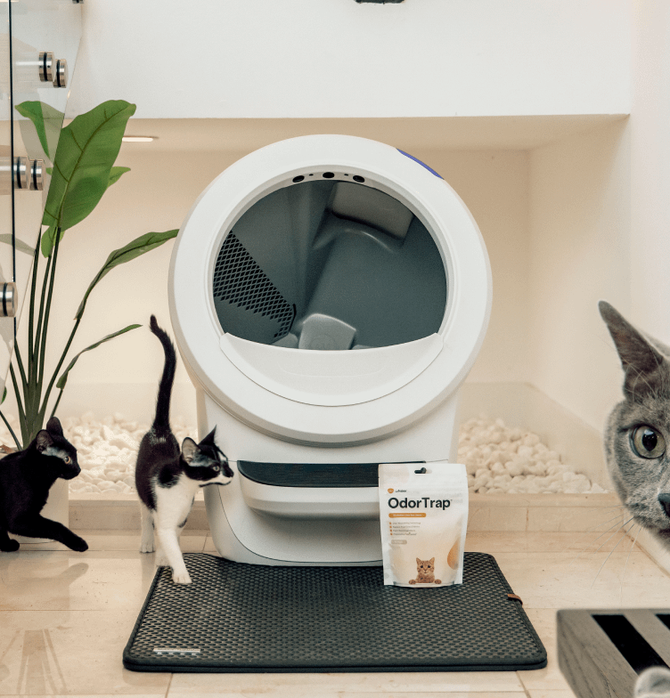 White Litter-Robot 4 with OdorTrap pack in front of it, surrounded by 3 cats