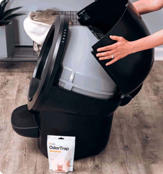 A person installing OdorTrap to their Litter-Robot 4