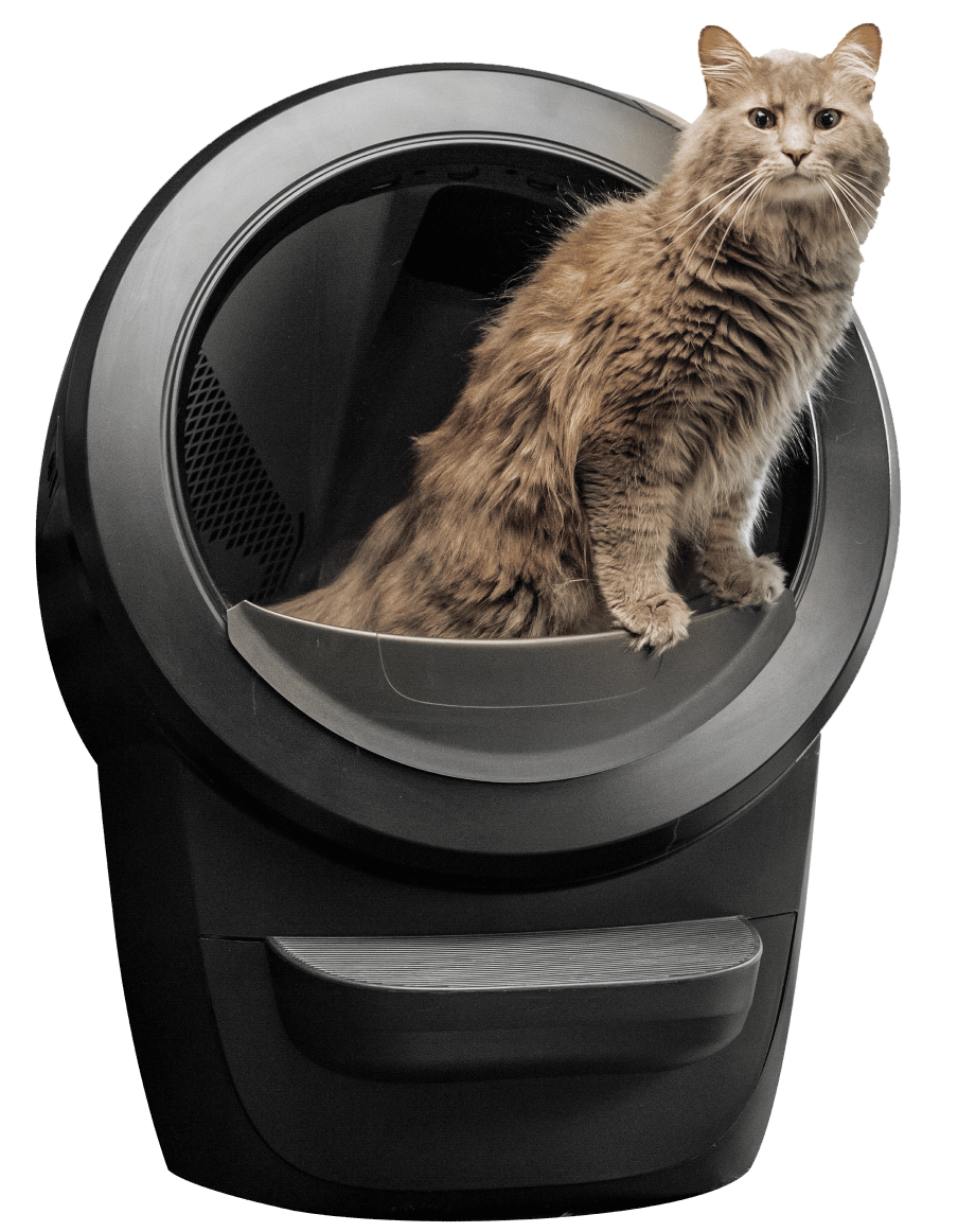 Cat sitting in a Litter-Robot 4