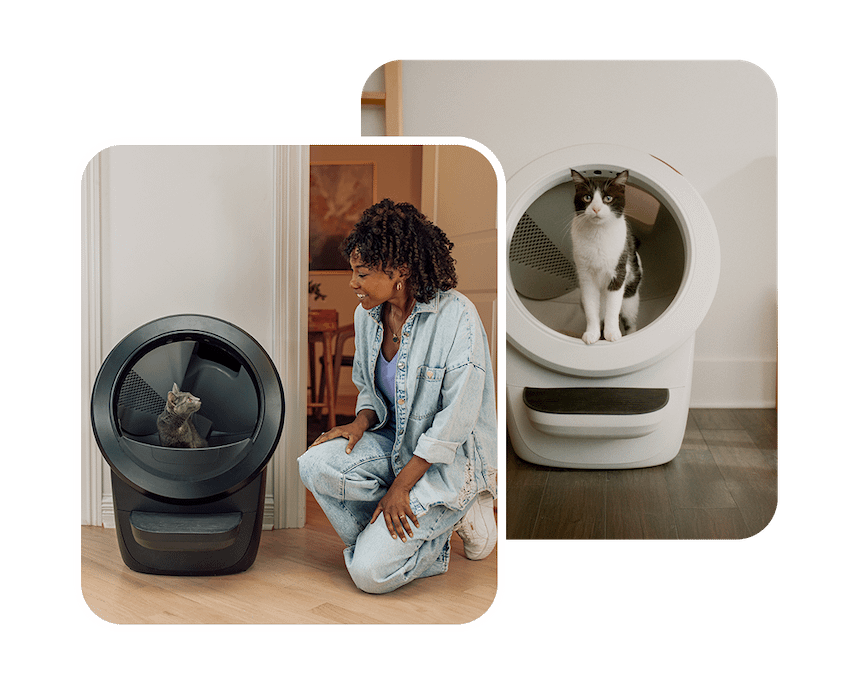 Images of cats with Litter-Robots