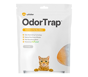 OdorTrap