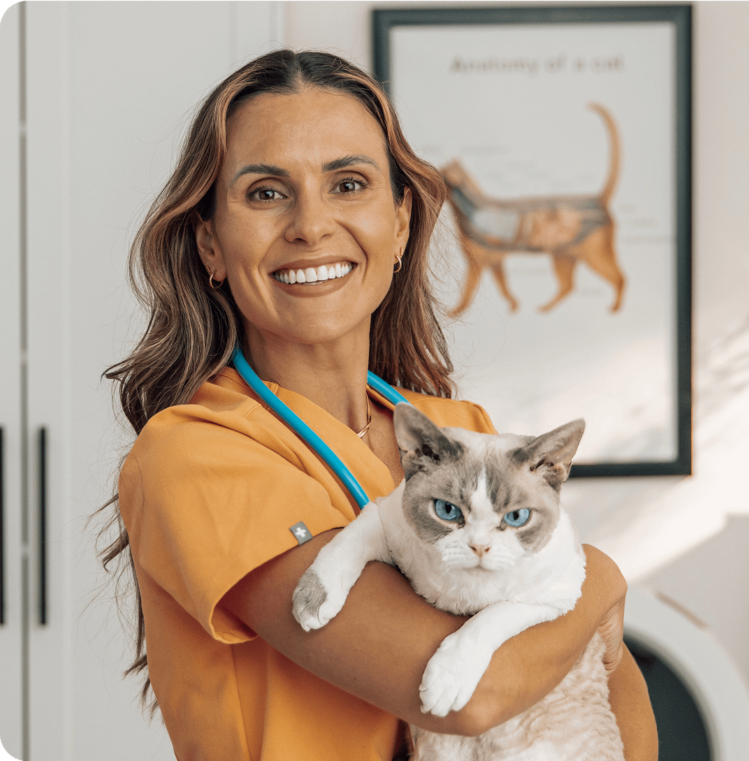 veterinarian in orange scrubs holding a white and gray cat