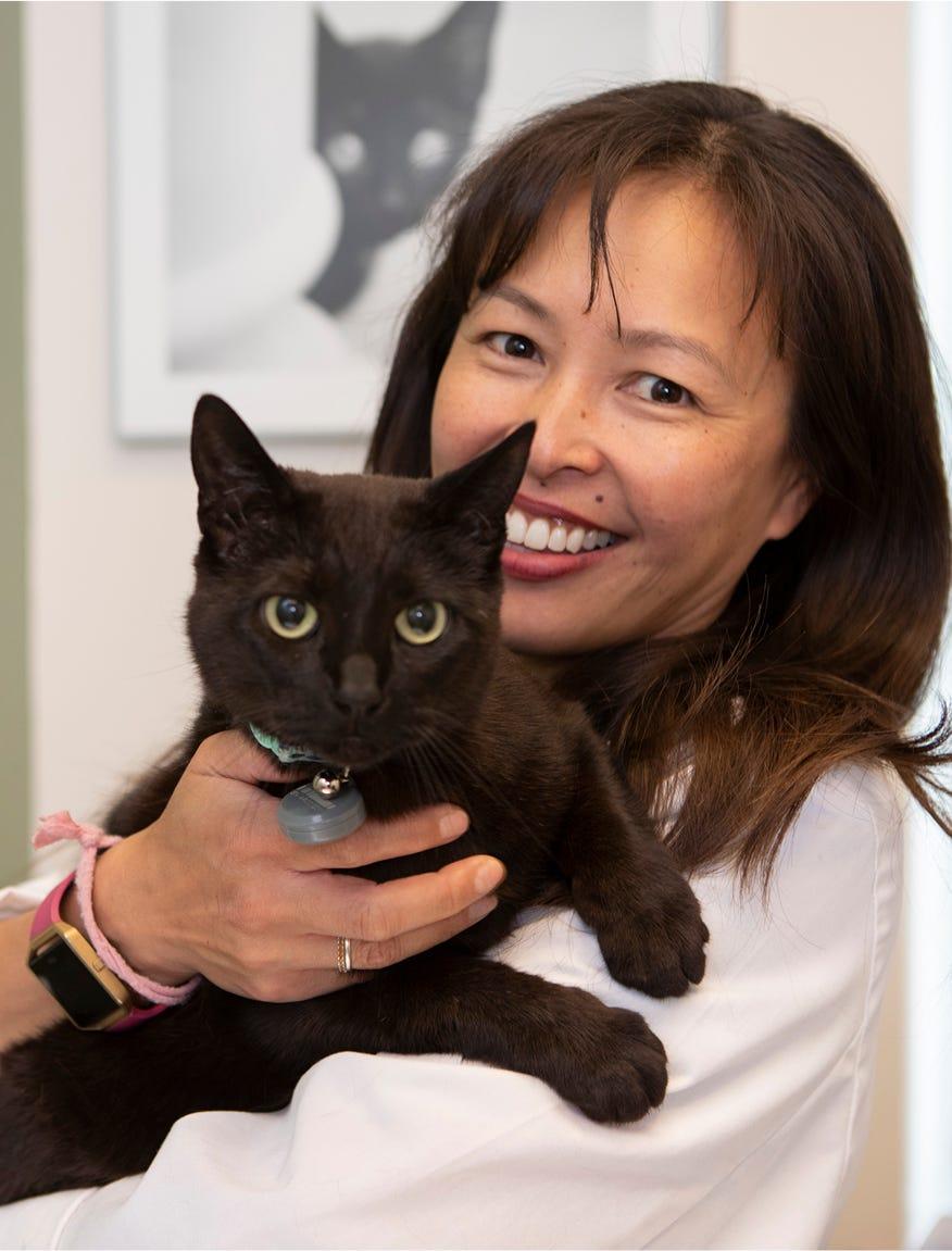 veterinarian in white scrubs holding a black cat