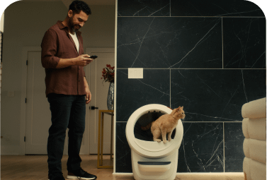 Man looking at phone standing next to cat inside litter-robot