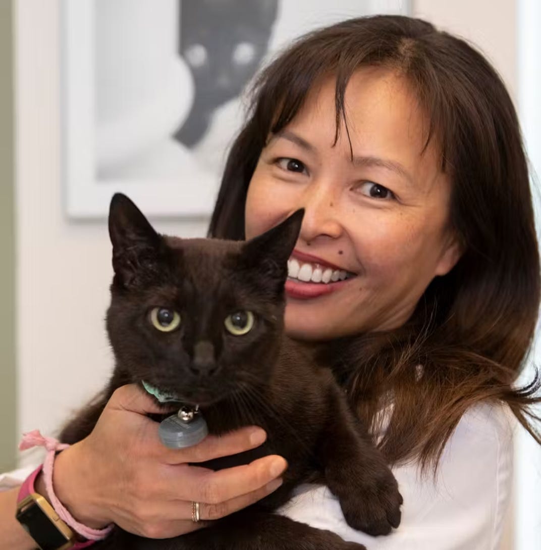 Dr Justine Lee veterinarian in white scrubs holding a black cat