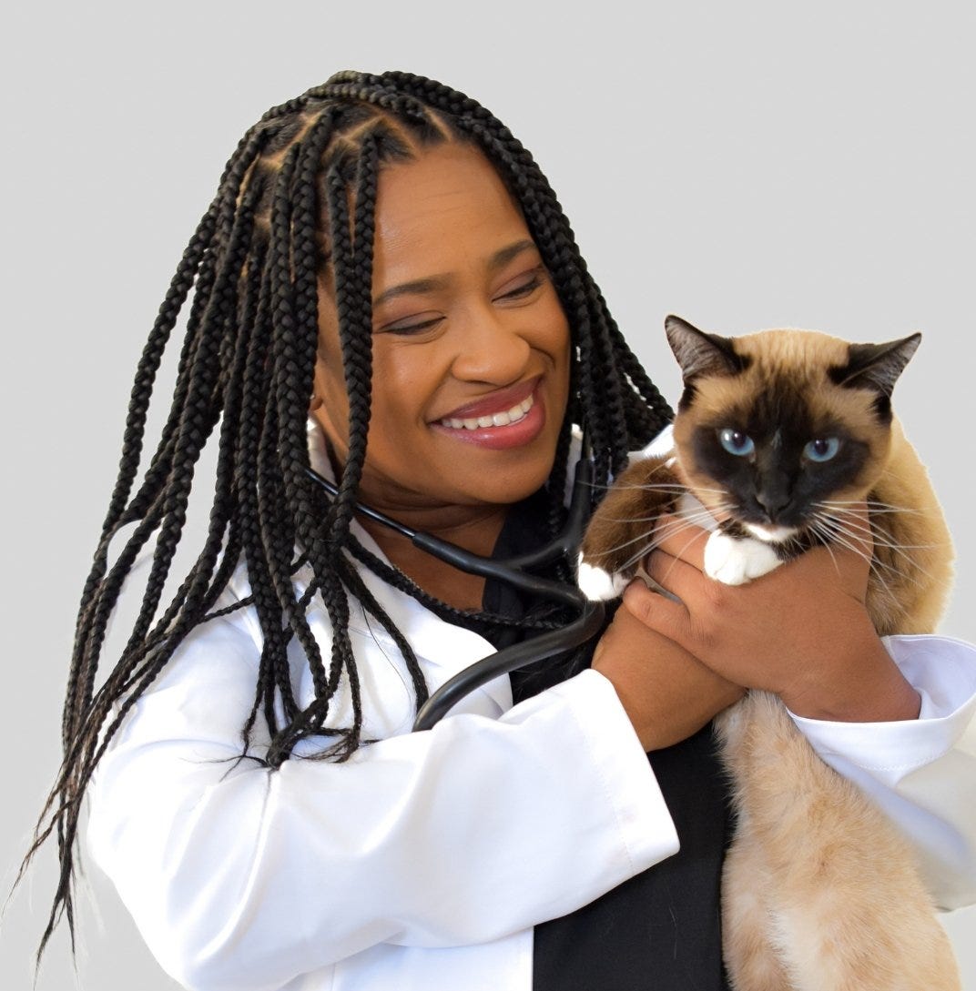 Dr Laria Herod veterinarian in white scrubs holding a Siamese cat