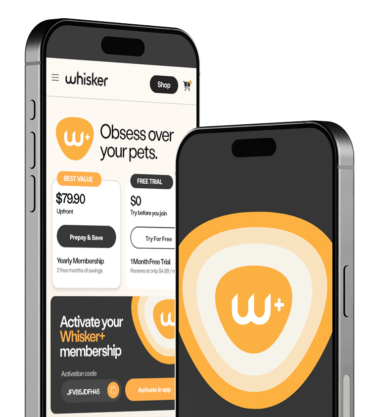 Two phones with Whisker+ app