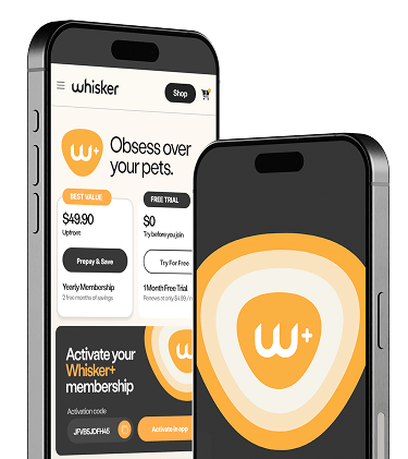 Two phones with Whisker+ app