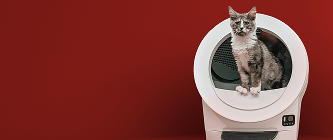 Cat sitting inside a white Litter-Robot