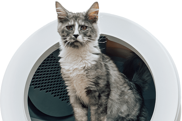 Litter-Robot EVO with a cat inside