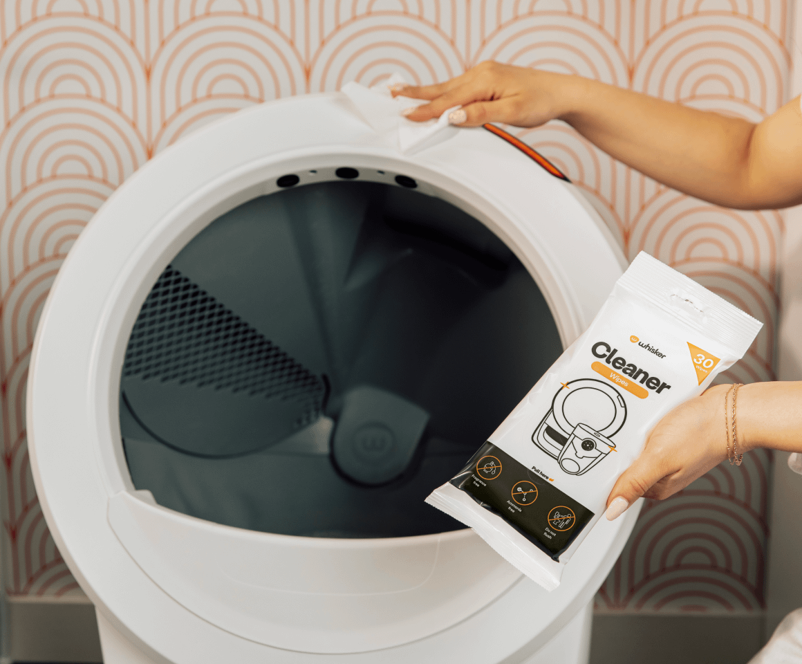 Cleaning Litter-Robot with cleaning wipes