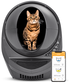 Litter robot norge best sale