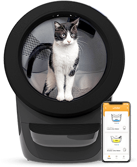 Browse Litter-Robot 4