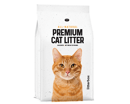 GreatLitter Low Dust Low Tracking Cat Litter