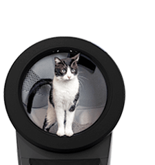 Browse Litter-Robot