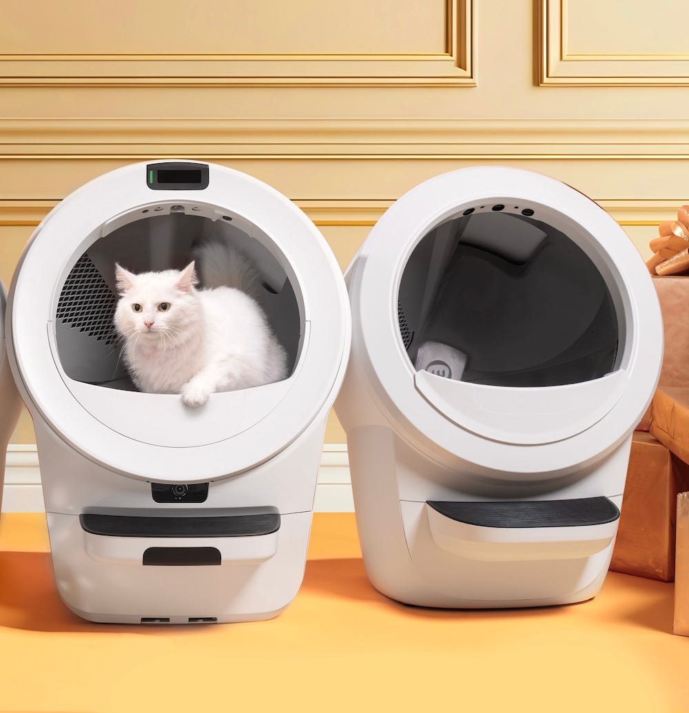 white cat in Litter-Robot 5 next to Litter-Robot 4