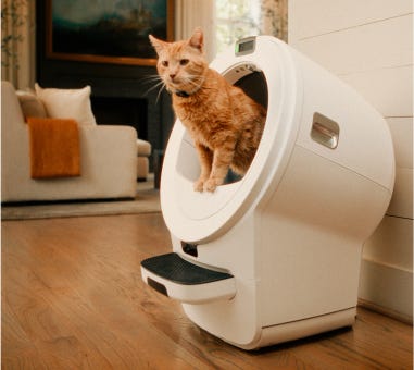 orange tabby cat wearing PetTag using Litter-Robot 5 Pro